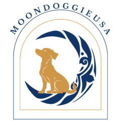 moondoggieusa.com